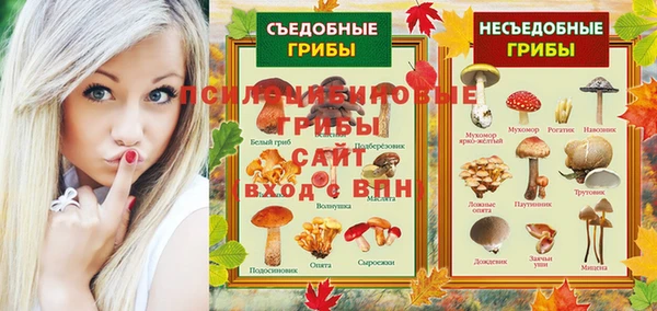 амф Белокуриха