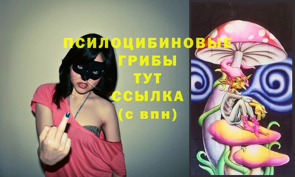 амф Белокуриха