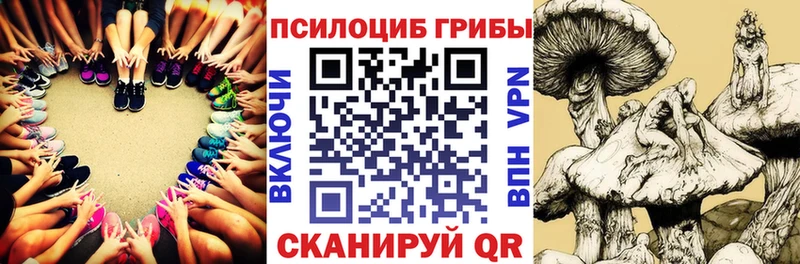 Псилоцибиновые грибы Psilocybe  что такое   mega рабочий сайт  Трёхгорный 